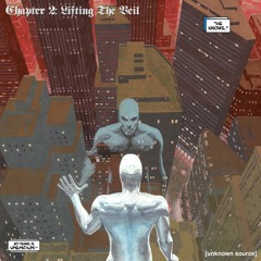 CHAPTER 2: LIFTING THE VEIL
