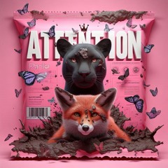 ATTENTION (ft. PUMA)