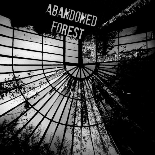 Abandoned Forest