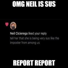 It's An Honour to Meet You, Neil Cicierega! - Temporary Flight Attendant (UNUSED)
