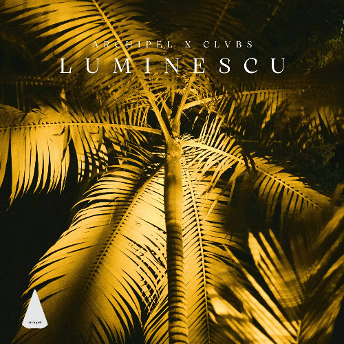 Archipel x CLVBS: Luminescu