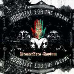 ProjectZero - Asylum