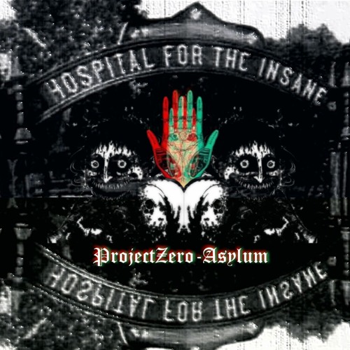 ProjectZero - Asylum
