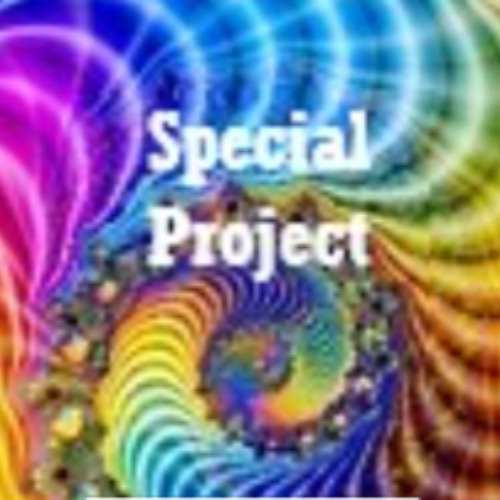 Special project III