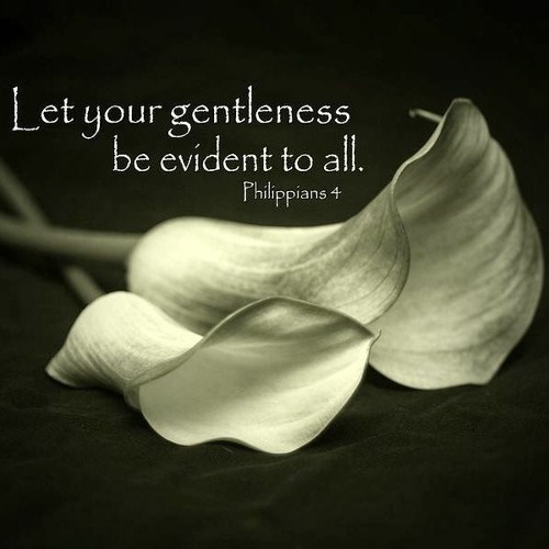 2020 06-28 Resilient Gentleness – Philippians 4:5