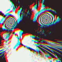 ✨ ☽ ☽ ☽ 𝕿𝔥𝔯𝔞𝔩𝔩 ☽ ☽ ☽ ✨ - ☽ ✨🌈 ☽ ✨ P4le ✨ ☽ ✨🌈 ☽ ✨