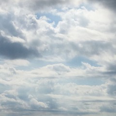 Passer Solitarius | with Sarah Grace Graves