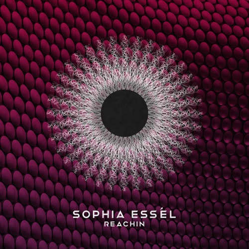 Sophia Essél - Reachin