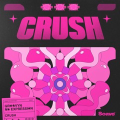 Groovyn & No ExpressioN - Crush