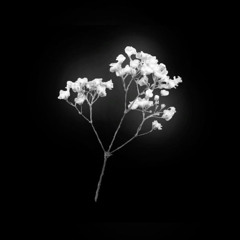 GAZAPİZM - BİR ANNE SOHBETİ (prod by. NO!SER)