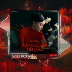 BÍCH PHƯƠNG - NÂNG CHÉN TIÊU SẦU REMIX - TVT REMIX