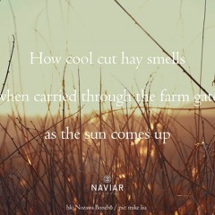 Heu Riecht (naviarhaiku402)