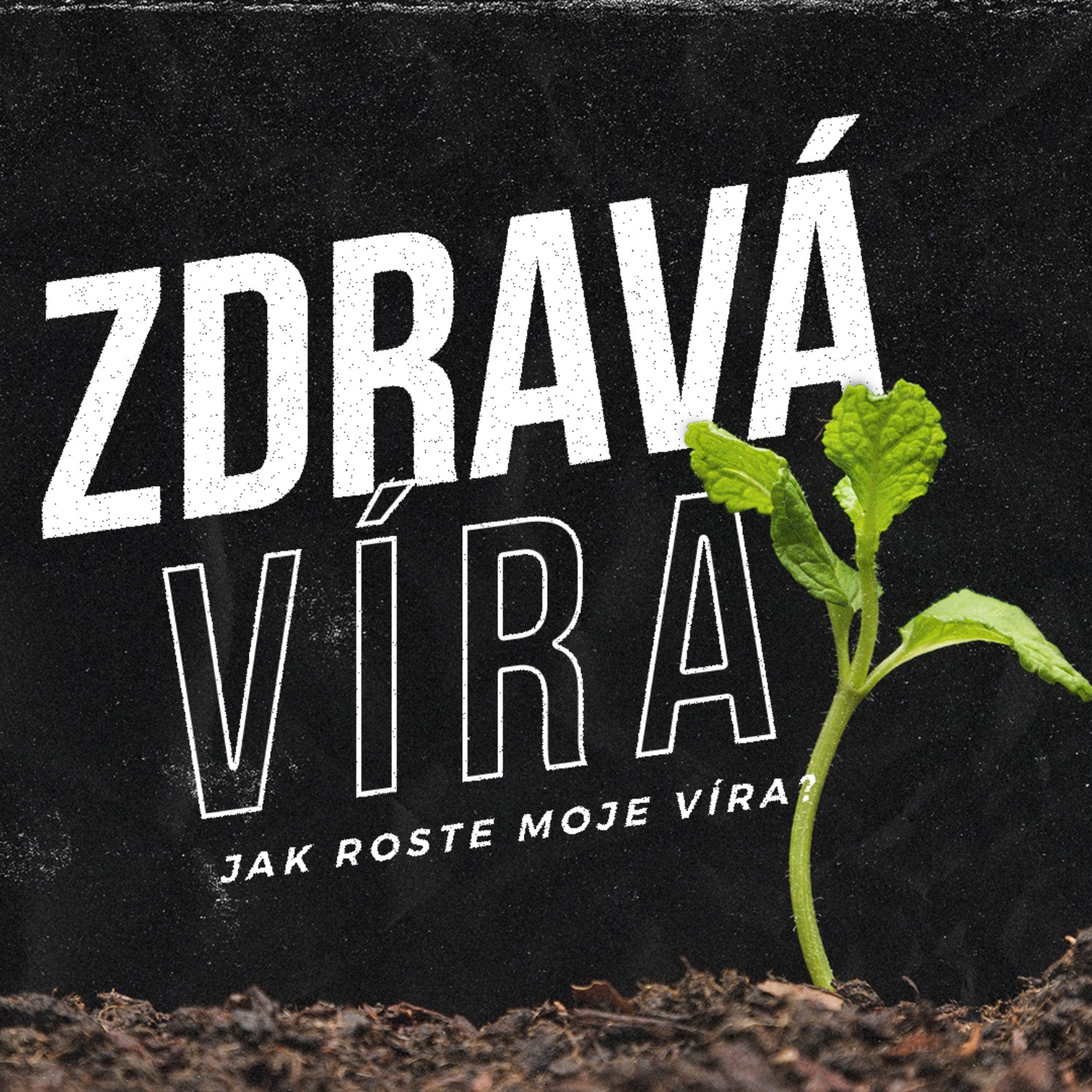 Apoštolská církev Třinec