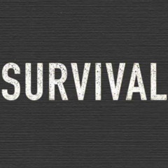 Joshouttheb-Survival freestyle