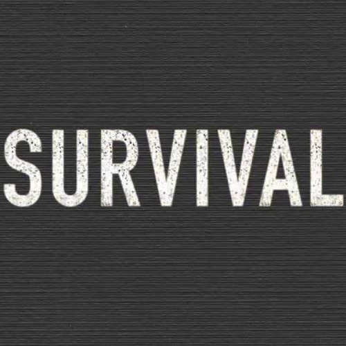 Joshouttheb-Survival freestyle
