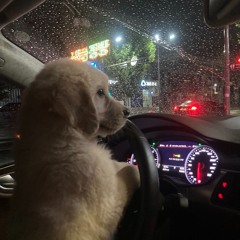 잭"리빈 으로 가자