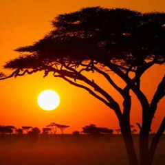 Simon Sim's - African Tribute