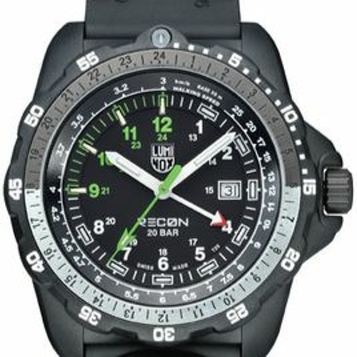 luminox 8831
