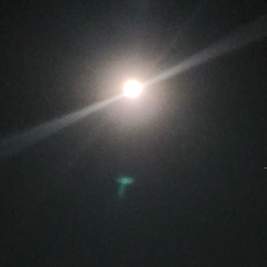 15. Project_152 (NEW END)