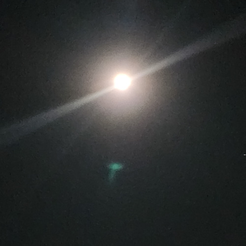 15. Project_152 (NEW END)