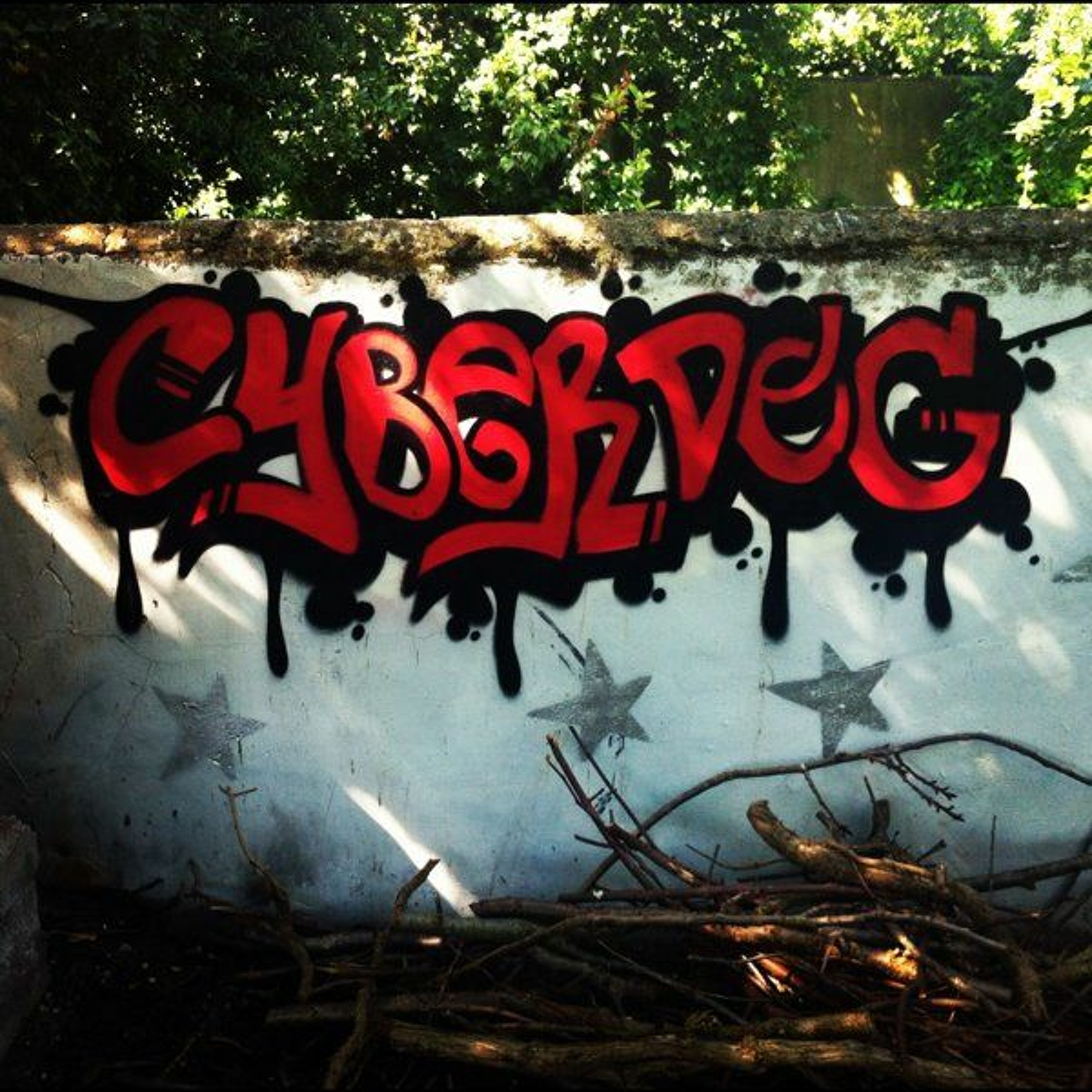 Cyberdog