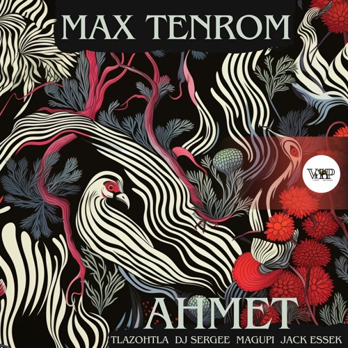 𝐌𝐚𝐱 𝐓𝐞𝐧𝐑𝐨𝐌 - 𝐀𝐡𝐦𝐞𝐭 (𝐓𝐥𝐚𝐳𝐨𝐡𝐭𝐥𝐚 𝐑𝐞𝐦𝐢𝐱) [Camel VIP Records]