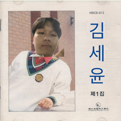 슬픈그림같은사랑(cover).wav.wav
