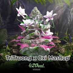nhac trap cang nhat 2023 - TriTruong x Cxi Mashup.mp3