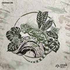 Spintribe - ENIAC ⇸ IWANA 06 [Stone Seed]