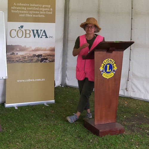 Stream episode Dr Leanne Abas Food as Medicine by Western Tourist