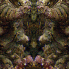 Sinfonie Nr.2 "EGGERT" – Satz Nr.3