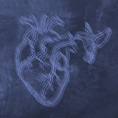 hummingbird- Dooby the prophet, T33-Dubb, alpha mother supreme (prod. Jammybeatz)