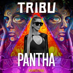 PANTHA - TRIBU - DJ - SET