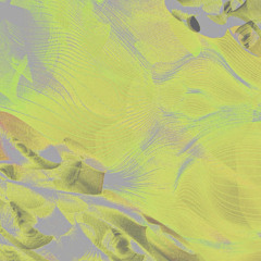 (PREVIEWS) DJ Sodeyama - SWG [CDC024]