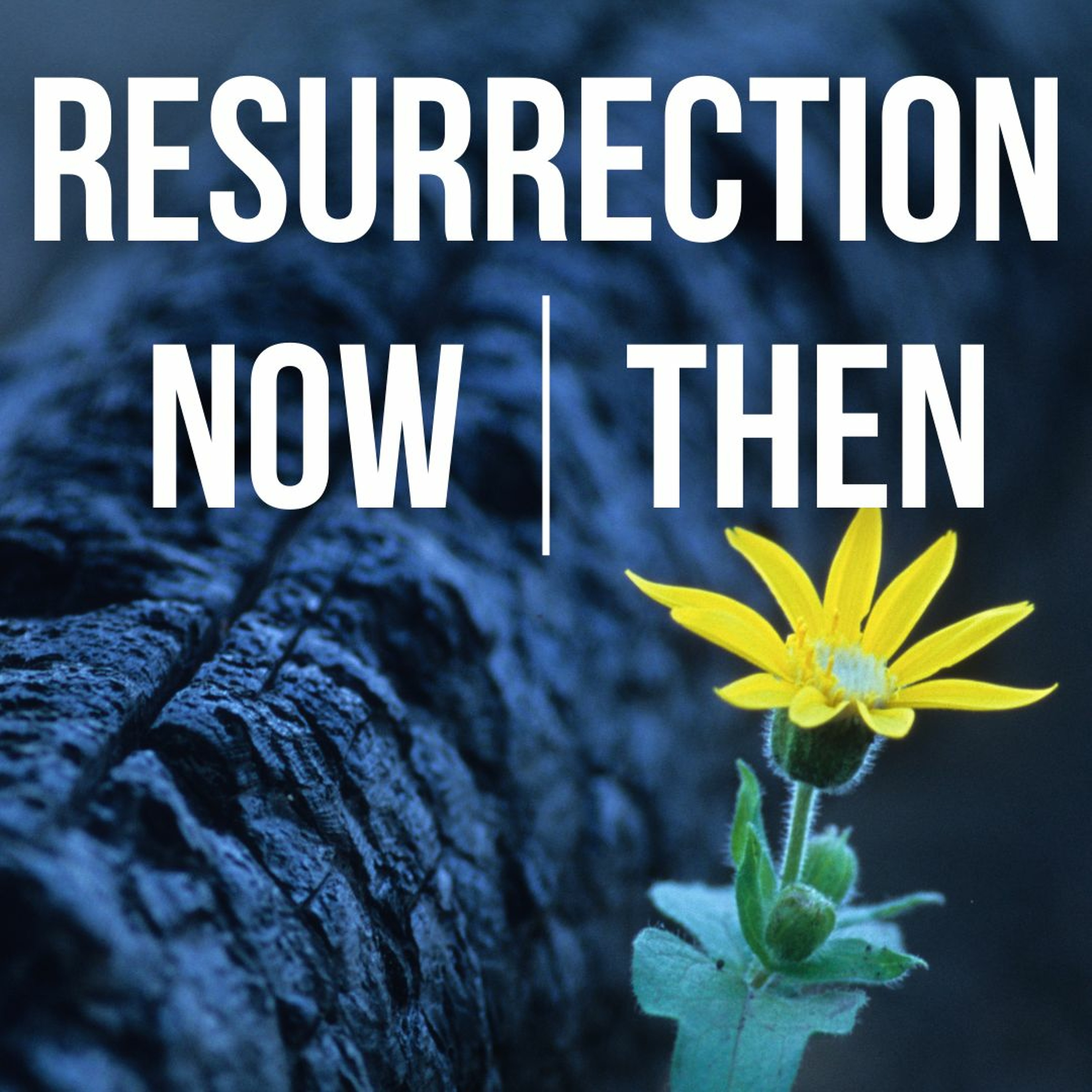 Resurrection N:T Wk2 (Nat Rosner At C4 23 - 04 - 23)