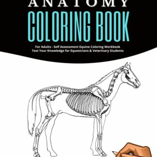 Stream ( t5CYS ) Horse Anatomy Coloring Book For Adults Self