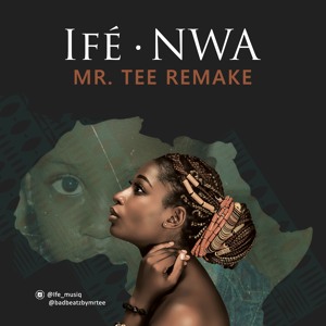 Nwa (Mr. Tee Remake)