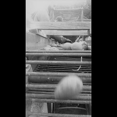 Is this appropriate?