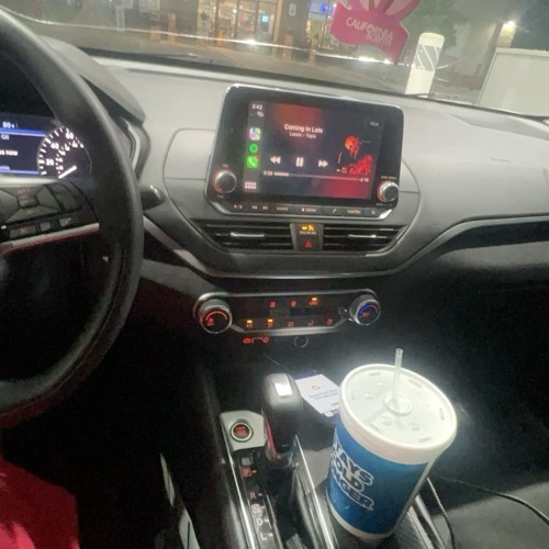 devils lullaby (p. hamii)