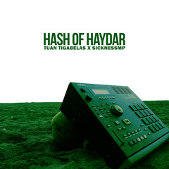 Hash Of Haydar (feat. SicknessMP)