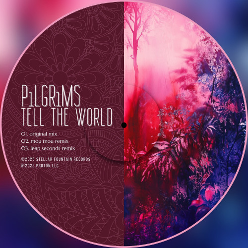 P1lgr1ms - Tell the World (Leap Seconds Remix) [Stellar Fountain]