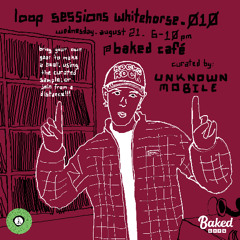 Kelvin - a cat's contemplation (looking out the window)