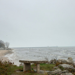 the room to the left