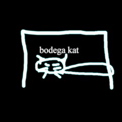 rula zaki - wicked game (cover) [bodega kat edit]