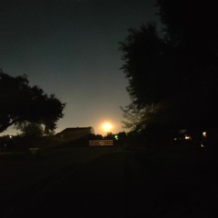 Steady Mobbin' Lil Wayne Chopped And Screwed