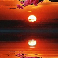 The Moments /Live at Port Orange