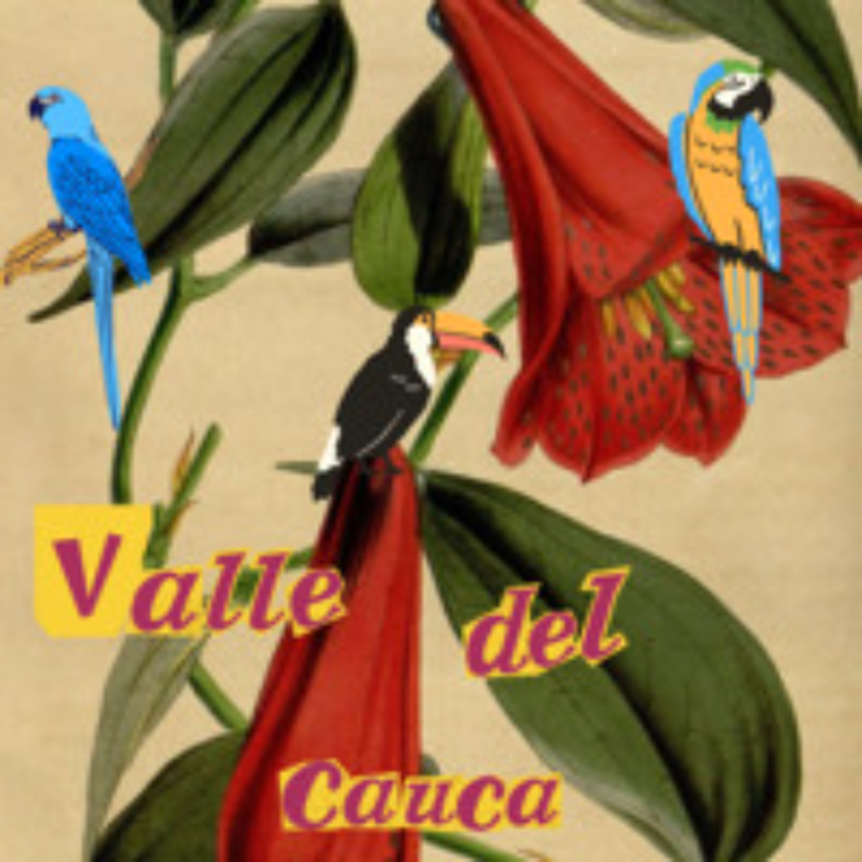 Paisajes Sonoros Archivo de Prensa - Valle del Cauca 02 episode artwork