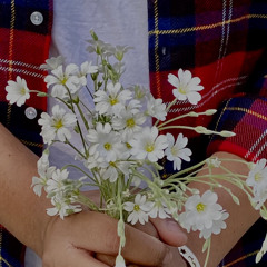 Lattu diljit dosanjh.