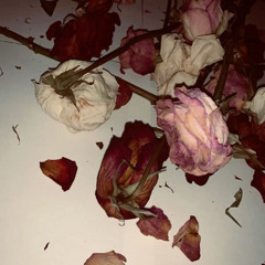 flowers (i hate winter)
