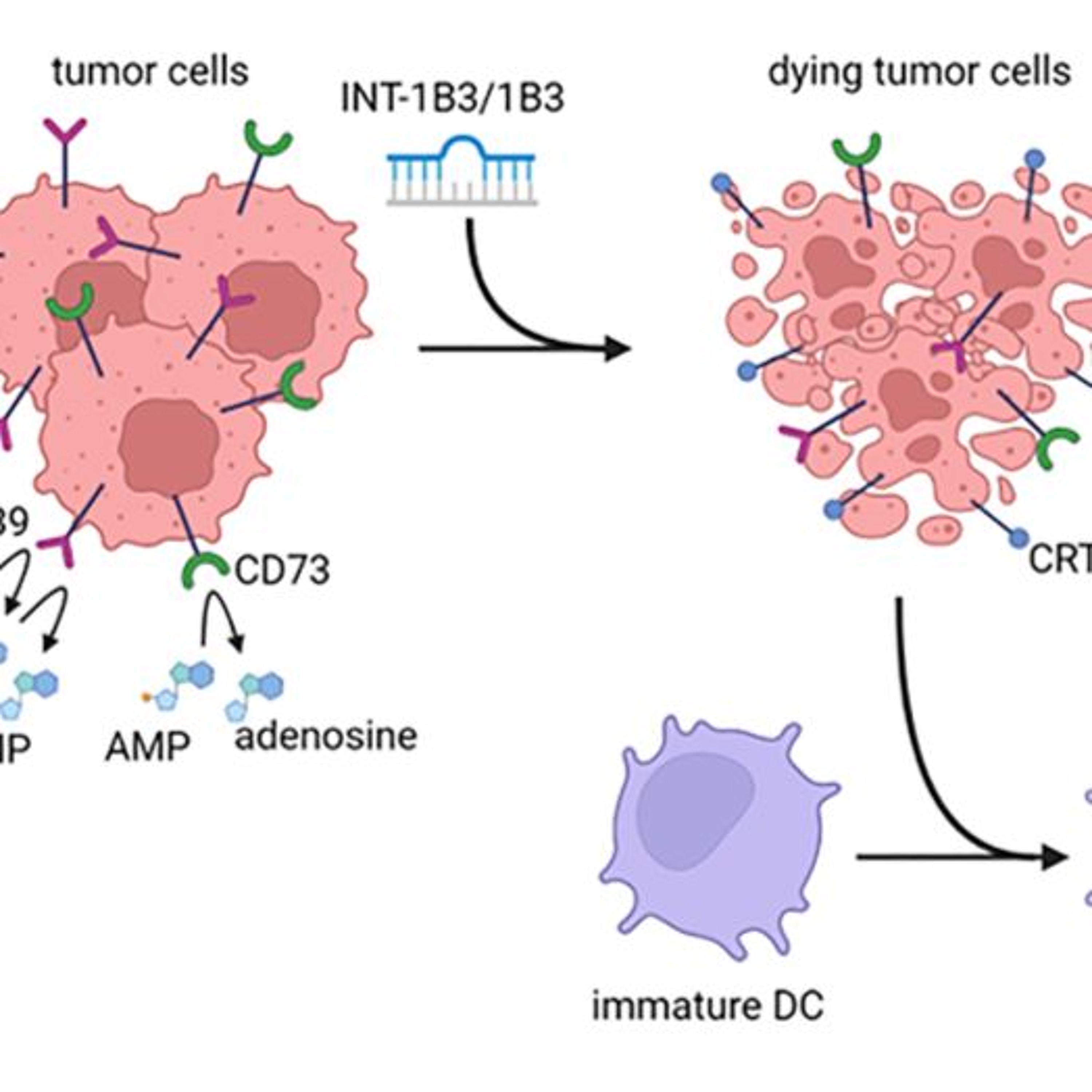 Oncotarget